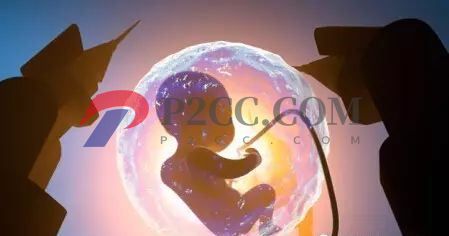 懷孕33周到36周，胎兒發(fā)育成什么樣呢？看看你家胎寶寶發(fā)育達標嗎！(圖1)