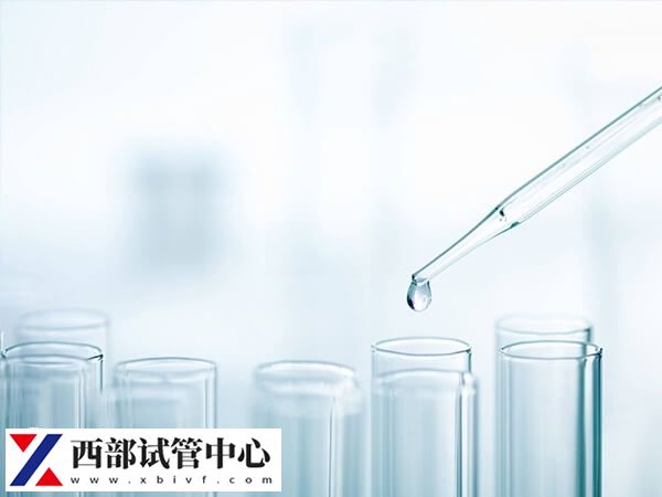 胚胎移植著床后會(huì)出現(xiàn)惡心嘔吐的早孕反應(yīng)