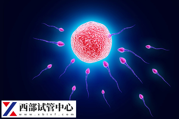 做取精術(shù)可以報(bào)銷醫(yī)保